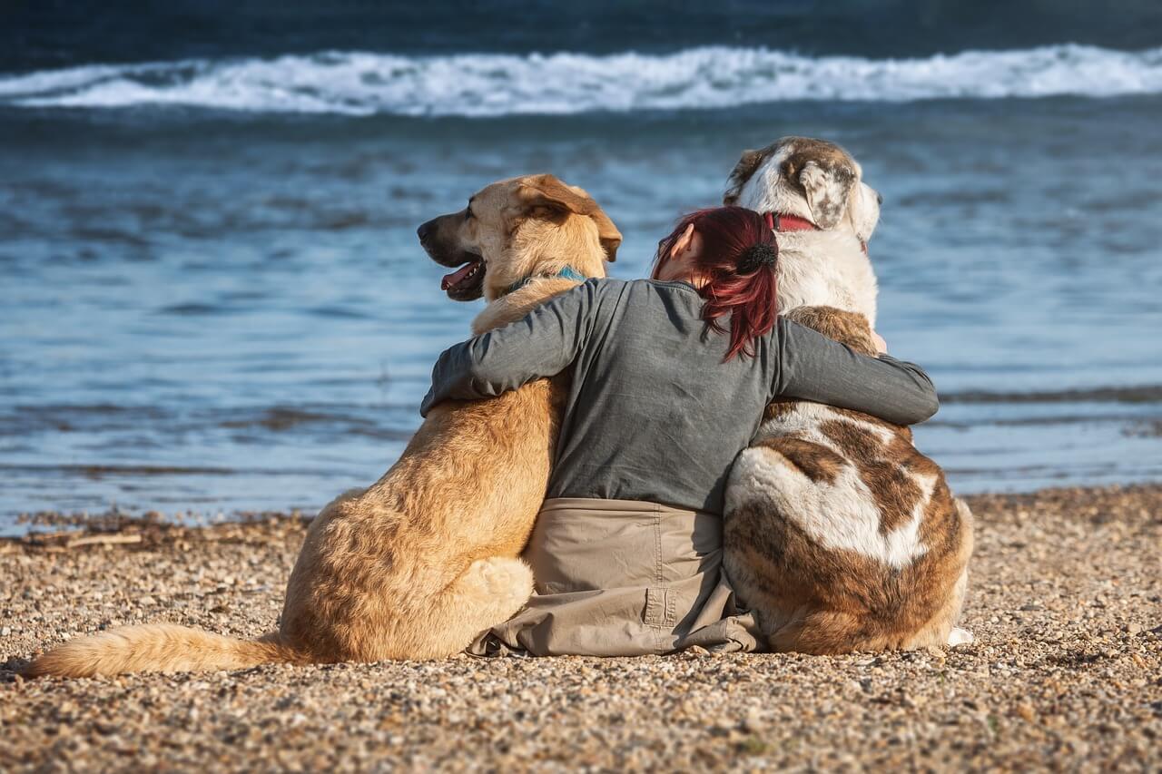 Donna seduta sulla spiaggia abbracciando due cani, con il mare sullo sfondo.