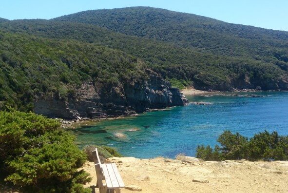 Panoramica di una baia di Piombino, con acqua cristallina, vegetazione lussureggiante e una panchina in legno in primo piano.
