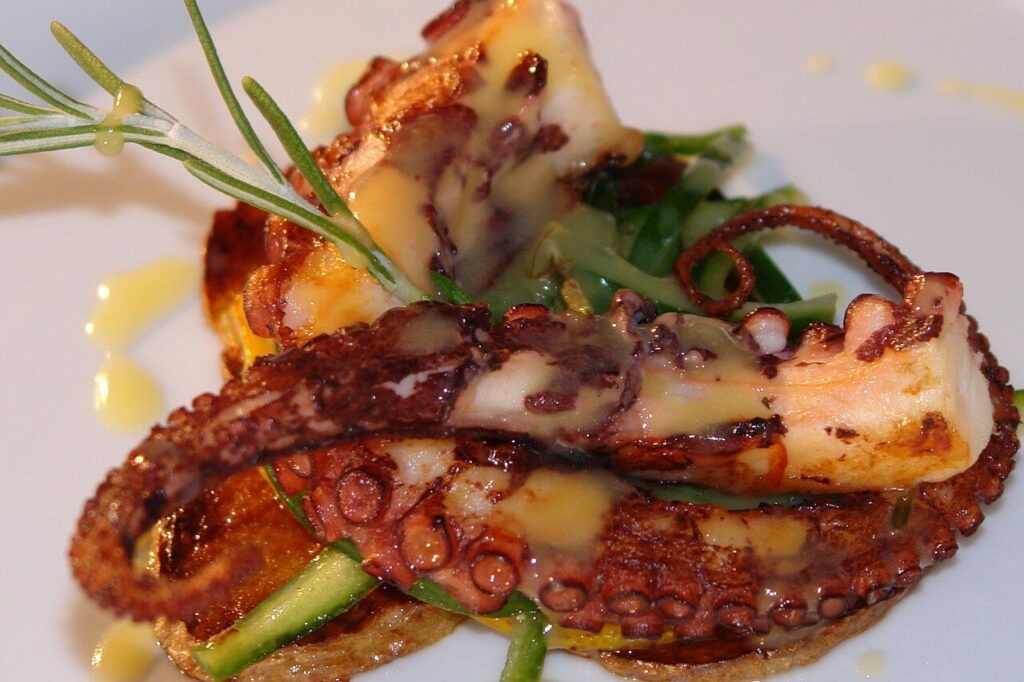 Tentacolo di polpo su base croccante con verdure e salsa cremosa, guarnito con rametto di rosmarino per un tocco aromatico.